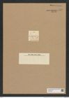 Amphitetras leptotis Ehr. (de-Toni-Nr.: Genus 137, Species 3649) Zeichnungen Sammlung Grunow Nr. 7140 (NHMW-BOT-W0376108)